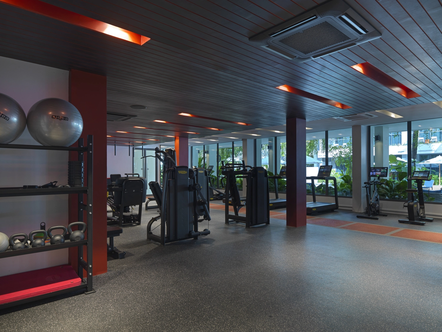 Gym & Fitness Activities